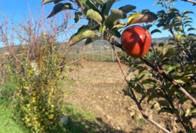 Foto 6