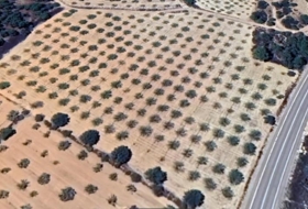 Casinos 14218&nbsp;m²
