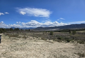 Foto 6
