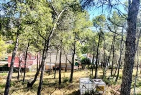 Foto 6