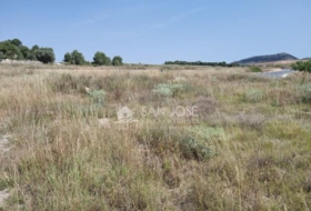 Monóvar 10434&nbsp;m²