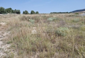 Monóvar 10434&nbsp;m²