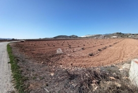 Pinoso 9791&nbsp;m²