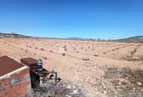 Pinoso 9791&nbsp;m²
