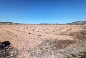 Pinoso 9791&nbsp;m²