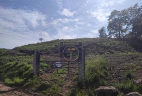 Foto 11