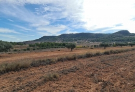 Foto 9