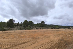 Foto 14