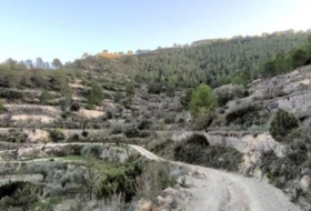 Foto 9