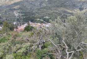 la Vall de Gallinera 15500&nbsp;m²