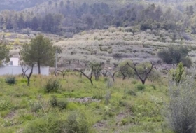 la Vall de Gallinera 15500&nbsp;m²