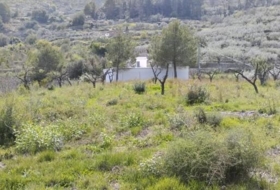 la Vall de Gallinera 15500&nbsp;m²