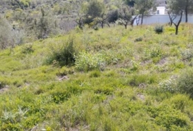 la Vall de Gallinera 15500&nbsp;m²