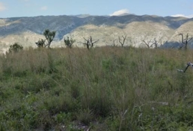 la Vall de Gallinera 15500&nbsp;m²