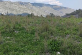la Vall de Gallinera 15500&nbsp;m²