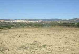 Villar del Arzobispo 10138&nbsp;m²