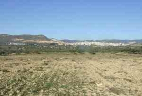 Villar del Arzobispo 10138&nbsp;m²