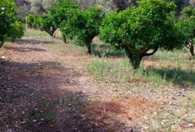Bolulla 2250&nbsp;m²