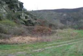 León 10000&nbsp;m²