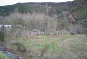 León 10000&nbsp;m²