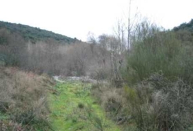 León 10000&nbsp;m²
