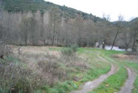 León 10000&nbsp;m²