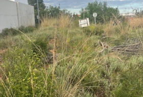 Foto 8