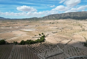 Foto 14