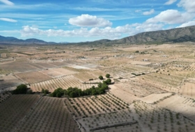 Foto 15