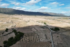 Foto 9