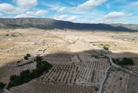 Foto 10