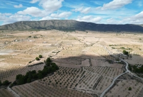 Foto 11