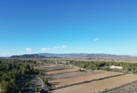 Foto 10
