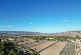 Foto 11
