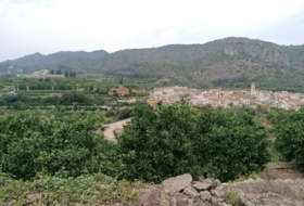 Foto 8