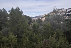 Foto 11