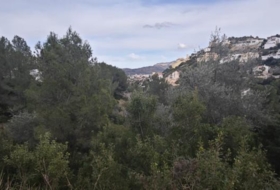 Foto 12