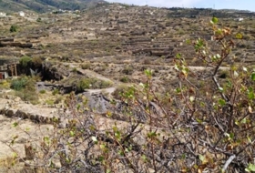 Güímar 3274&nbsp;m²