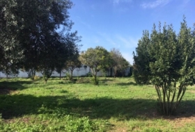 Córdoba 1500&nbsp;m²