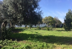 Córdoba 1500&nbsp;m²
