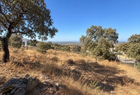 El Castillo de las Guardas 412&nbsp;m²