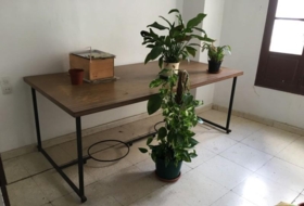 Foto 11
