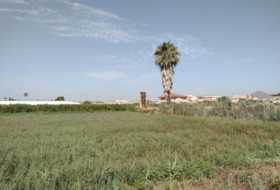 Murcia 2146&nbsp;m²