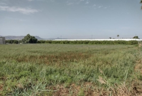 Murcia 2146&nbsp;m²