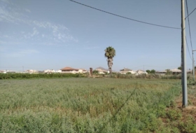 Murcia 2146&nbsp;m²