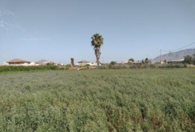 Murcia 2146&nbsp;m²