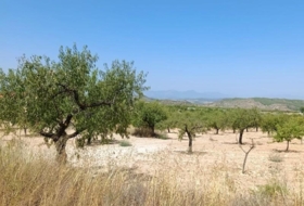 Foto 9