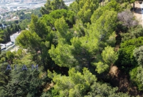 Pineda de Mar 2969&nbsp;m²