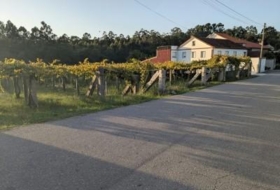 As Covas 1859&nbsp;m²