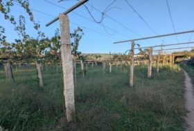 As Covas 1859&nbsp;m²